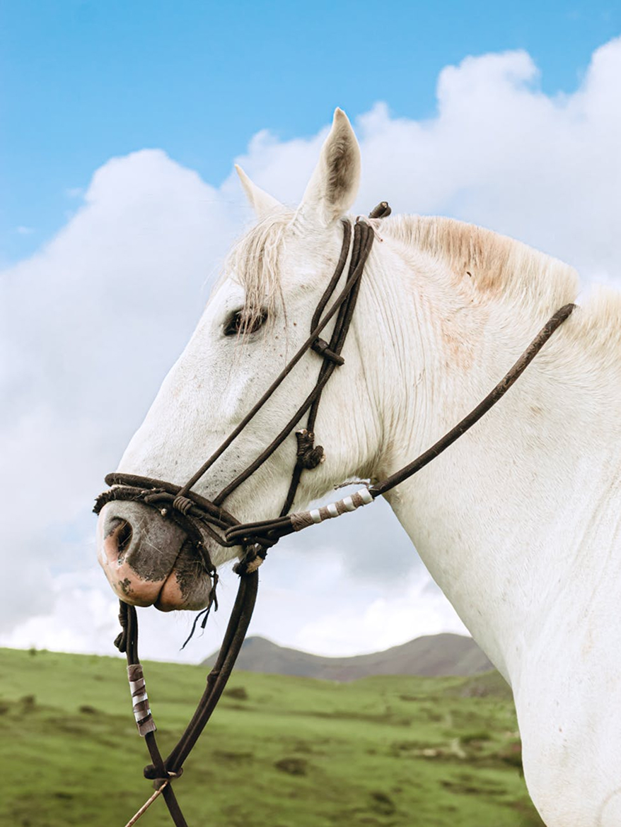 INICIO 08 La ciencia como base de confianza